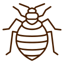 Professional bed bug control service by Carpet Addicts