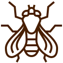 Eradicate Fly Infestations Quickly & Effectively