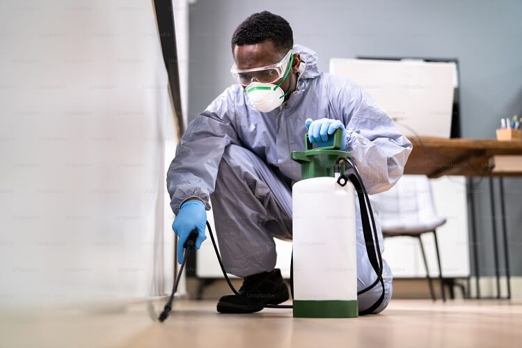 Carpet Addicts technician spraying for ants during extermination service.